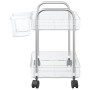 Carro de almacenamiento 2 niveles transparente 37x28x43,5 cm von , Lastenstapler - Ref: Foro24-4012376, Preis: 29,65 €, Rabat...