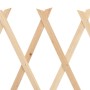 Spalierzäune 5 Einheiten aus Tannenholz 180x60 cm von vidaXL, Zaunpaneele - Ref: Foro24-47240, Preis: 33,67 €, Rabatt: %