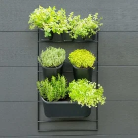 Nature Vertical Garden Wall Kit by Nature, Pots and planters - Ref: Foro24-434650, Price: 72,58 €, Discount: %