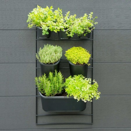 Nature -Vertikal-Gartenwand-Set von Nature, Töpfe und Pflanzgefäße - Ref: Foro24-434650, Preis: 76,53 €, Rabatt: %
