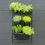Nature -Vertikal-Gartenwand-Set von Nature, Töpfe und Pflanzgefäße - Ref: Foro24-434650, Preis: 72,56 €, Rabatt: %
