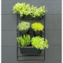 Nature -Vertikal-Gartenwand-Set von Nature, Töpfe und Pflanzgefäße - Ref: Foro24-434650, Preis: 76,53 €, Rabatt: %