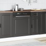 Panel para lavavajillas Porto madera contrachapada negro von , Küchenschränke - Ref: Foro24-854138, Preis: 43,56 €, Rabatt: %
