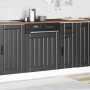 Panel para lavavajillas Lucca madera contrachapada negra von , Küchenschränke - Ref: Foro24-853898, Preis: 37,21 €, Rabatt: %