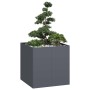 Jardinera acero gris antracita 80x80x80 cm von , Töpfe und Pflanzgefäße - Ref: Foro24-860782, Preis: 152,62 €, Rabatt: %
