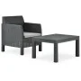 2-teiliges Gartenmöbel-Set mit anthrazitgrauem Rattan-PP-Kissen von vidaXL, Gartensets - Ref: Foro24-315641, Preis: 105,62 €,...