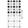 Estor enrollable para ducha tela 130x240 cm ancho 126 cm by , Blinds and blinds - Ref: Foro24-4014839, Price: 17,77 €, Discou...
