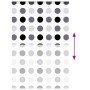 Estor enrollable para ducha casete tela 160x240 cm ancho 156 cm by , Blinds and blinds - Ref: Foro24-4014963, Price: 29,43 €,...