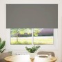 Estor Enrollable Opaco gris 165x150 cm Tela Ancho 161,6 cm von , Jalousien und Jalousien - Ref: Foro24-4011141, Preis: 40,06 ...