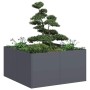 Jardinera de acero laminado en frío antracita 80x80x40 cm von , Töpfe und Pflanzgefäße - Ref: Foro24-860740, Preis: 79,34 €, ...