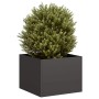 Jardinera acero negro 40x40x30 cm von , Töpfe und Pflanzgefäße - Ref: Foro24-860794, Preis: 45,56 €, Rabatt: %