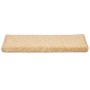 Alfombrilla escalera 30 uds 65x21x4 cm marrón by , Stair mats - Ref: Foro24-3365829, Price: 158,58 €, Discount: %
