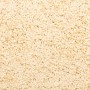 Alfombrillas de escalera 20 unidades crema 65x21x4 cm de , Alfombrillas para escalones - Ref: Foro24-3365855, Precio: 116,35 ...