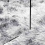 Alfombra de pelo largo NAVARRA gris claro 160x160 cm poliéster von , Teppiche - Ref: Foro24-4102874, Preis: 44,61 €, Rabatt: %