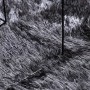 Alfombra de pelo largo NAVARRA gris oscuro 160x160 cm poliéster by , Rugs - Ref: Foro24-4102912, Price: 35,30 €, Discount: %