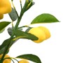 Limonero artificial 136 hojas 120 cm verde von , Künstliche Flora - Ref: Foro24-4103589, Preis: 65,87 €, Rabatt: %