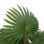 Planta de palma artificial 9 hojas 65 cm verde von , Künstliche Flora - Ref: Foro24-4103582, Preis: 24,61 €, Rabatt: %