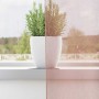 Cortinas de gasa con ojales 2 uds rosa 140x140 cm von , Vorhänge und Gardinen - Ref: Foro24-4102095, Preis: 13,67 €, Rabatt: %