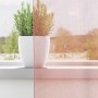 Cortinas de gasa con trabillas 2 uds rosa 140x245 cm von , Vorhänge und Gardinen - Ref: Foro24-4102289, Preis: 14,90 €, Rabat...