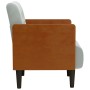 Sillón con reposabrazos Terciopelo Gris Claro 55 cm von , Sessel - Ref: Foro24-4100595, Preis: 145,97 €, Rabatt: %