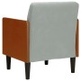 Sillón con reposabrazos Terciopelo Gris Claro 55 cm von , Sessel - Ref: Foro24-4100595, Preis: 145,97 €, Rabatt: %