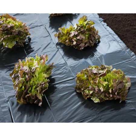 Nature Lona de suelo negra 3x4 m 100µ by , Gardening accessories - Ref: Foro24-446374, Price: 21,54 €, Discount: %