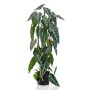 Emerald Alocasia artificial en maceta 75 cm von , Künstliche Flora - Ref: Foro24-444648, Preis: 42,06 €, Rabatt: %