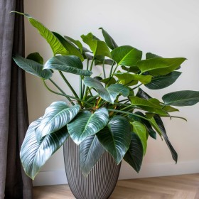 Capi Jarrón elegante Groove gris antracita 46x58 cm de , Maceteros y jardineras - Ref: Foro24-445501, Precio: 147,64 €, Descu...