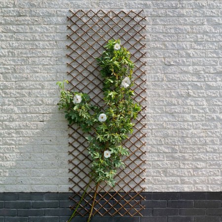 Nature Enrejado de jardín sauce natural marrón 30x180 cm von , Pergolen, Bögen und Gartenspaliere - Ref: Foro24-446397, Preis...