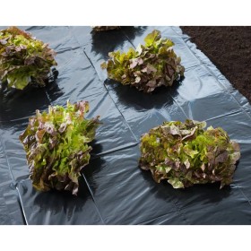 Nature Lona de suelo negro 3x4 m 150µ de , Accesorios de jardinería - Ref: Foro24-446376, Precio: 23,86 €, Descuento: %