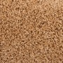 Alfombrillas de escalera 10 unidades beige 65x21x4 cm de , Alfombrillas para escalones - Ref: Foro24-149803, Precio: 60,86 €,...