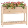 Jardinera con estante madera maciza de pino 111,5x34,5x81 cm von , Töpfe und Pflanzgefäße - Ref: Foro24-823766, Preis: 87,57 ...