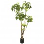 Emerald Árbol Polyscias artificial 135 cm 420292 von , Künstliche Flora - Ref: Foro24-414511, Preis: 112,12 €, Rabatt: %
