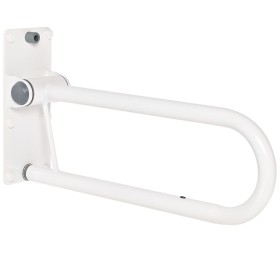 RIDDER Barra de apoyo para inodoro 55,5 cm 100 kg A0130101 de , Asideros de seguridad - Ref: Foro24-421616, Precio: 123,12 €,...
