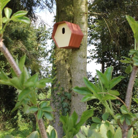 Capi Casita para pájaros Hive 2 agujero ovalado marrón 19x23x20 cm von , Vogelhäuser - Ref: Foro24-447495, Preis: 25,25 €, Ra...