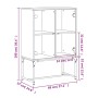 Armario auxiliar con puertas de vidrio negro 69x37x100 cm de , Aparadores - Ref: Foro24-836547, Precio: 90,94 €, Descuento: %