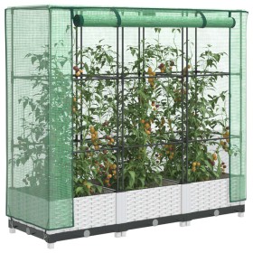 Arriate con cubierta invernadero aspecto ratán 120x40x123 cm von , Töpfe und Pflanzgefäße - Ref: Foro24-4015839, Preis: 88,26...