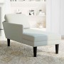 Tumbona almohada y reposabrazo derecho terciopelo gris claro by , Daybeds - Ref: Foro24-4009807, Price: 105,71 €, Discount: %