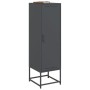 Aparador de acero gris antracita 36x39x123 cm de , Aparadores - Ref: Foro24-846526, Precio: 99,44 €, Descuento: %