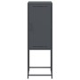 Aparador de acero gris antracita 36x39x107 cm de , Aparadores - Ref: Foro24-846532, Precio: 68,45 €, Descuento: %