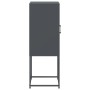Aparador de acero gris antracita 36x39x107 cm de , Aparadores - Ref: Foro24-846532, Precio: 68,45 €, Descuento: %