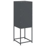 Aparador de acero gris antracita 36x39x107 cm de , Aparadores - Ref: Foro24-846532, Precio: 68,45 €, Descuento: %