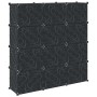 Estantería de cubos con 12 compartimentos y puertas PP negro by , Shoe racks and shoe organizers - Ref: Foro24-4019580, Price...