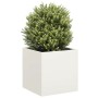 Jardinera de acero laminado en frío blanco 40x40x40 cm de , Maceteros y jardineras - Ref: Foro24-860662, Precio: 53,45 €, Des...