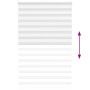 Estor cebra blanco 150x230 cm tejido ancho 145,9 cm poliéster de , Persianas y estores - Ref: Foro24-4014817, Precio: 38,21 €...