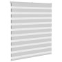 Estor cebra gris claro 125x100cm tejido ancho 120,9cm poliéster de , Persianas y estores - Ref: Foro24-4014422, Precio: 21,33...