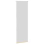 Estor Enrollable Opaco Beige 50x130 cm Tela Ancho 45,7 cm by , Blinds and blinds - Ref: Foro24-4010702, Price: 17,77 €, Disco...