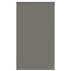 Estor Enrollable Opaco gris 125x210 cm Tela Ancho 121,6 cm von , Jalousien und Jalousien - Ref: Foro24-4011185, Preis: 32,43 ...