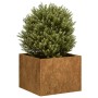 Jardinera oxidada acero corten 40x40x30 cm von , Töpfe und Pflanzgefäße - Ref: Foro24-860800, Preis: 39,87 €, Rabatt: %
