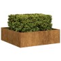 Jardinera oxidada acero corten 100x100x30 cm von , Töpfe und Pflanzgefäße - Ref: Foro24-860814, Preis: 83,20 €, Rabatt: %